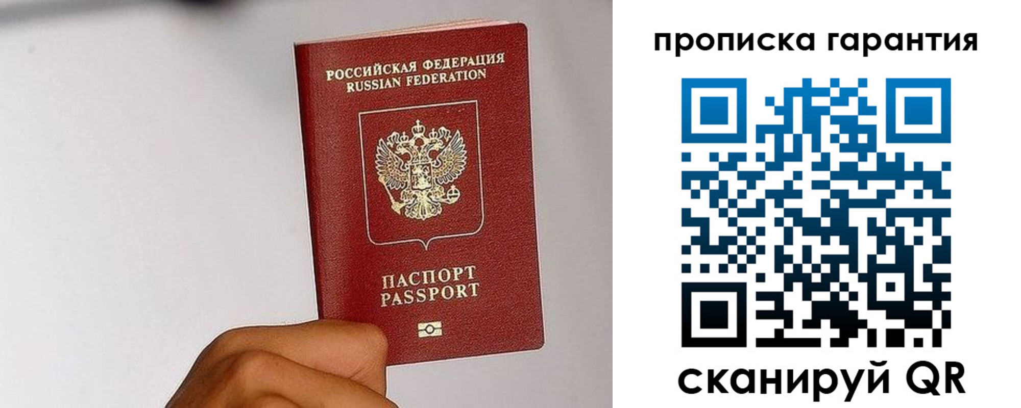 прописка для работы в Лосино-Петровском